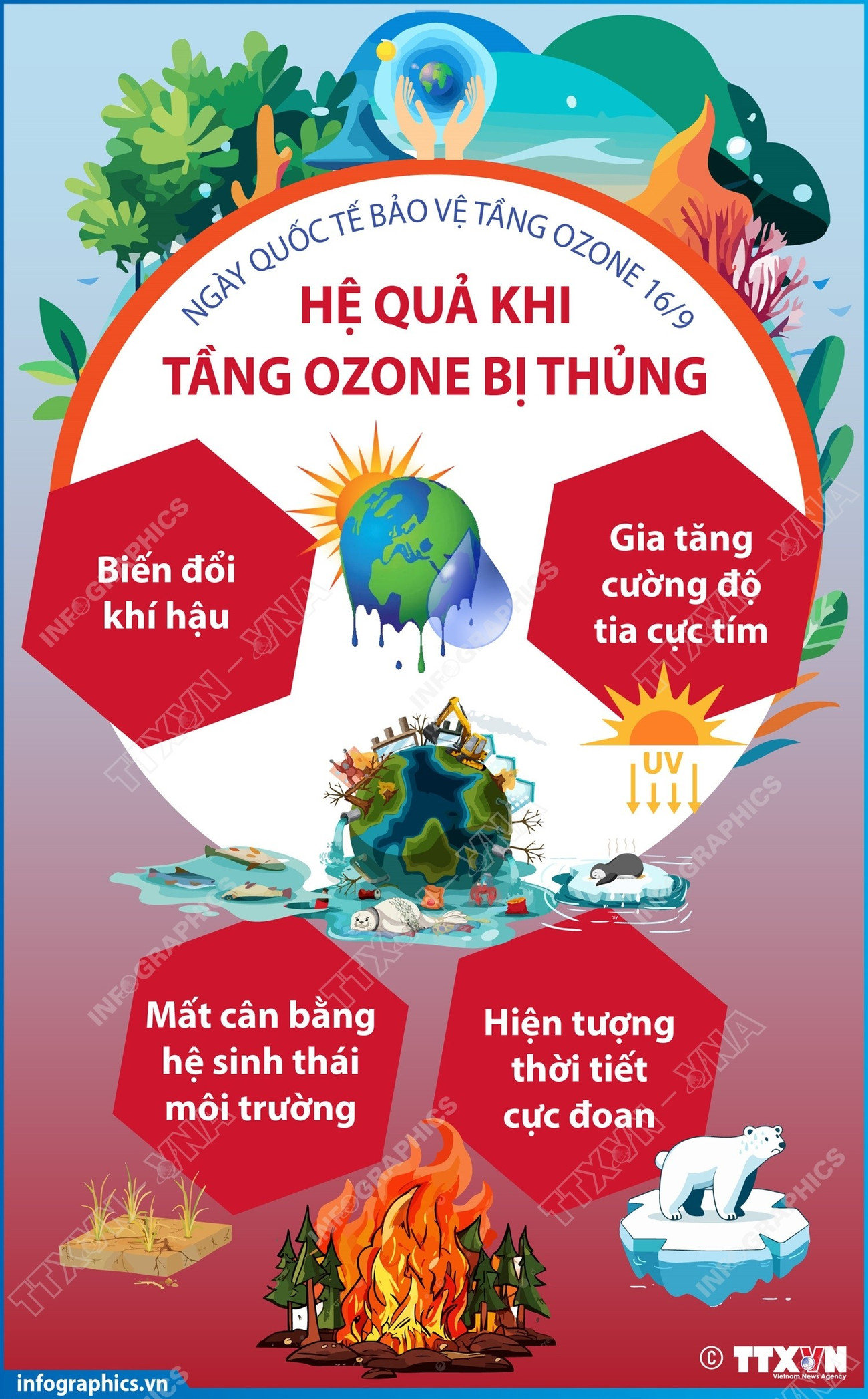 vna-potal-ngay-quoc-te-bao-ve-tang-ozone-169-he-qua-khi-tang-ozone-bi-thung.jpg