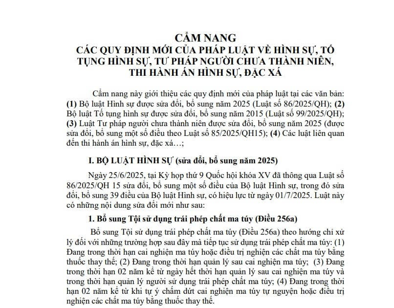 Cẩm nang quy định mới của pháp luật về hình sự, tố tụng hình sự, tư pháp người chưa thành niên, thi hành án hình sự và đặc xá 
