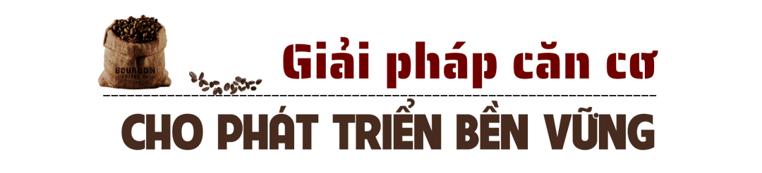 tit 4