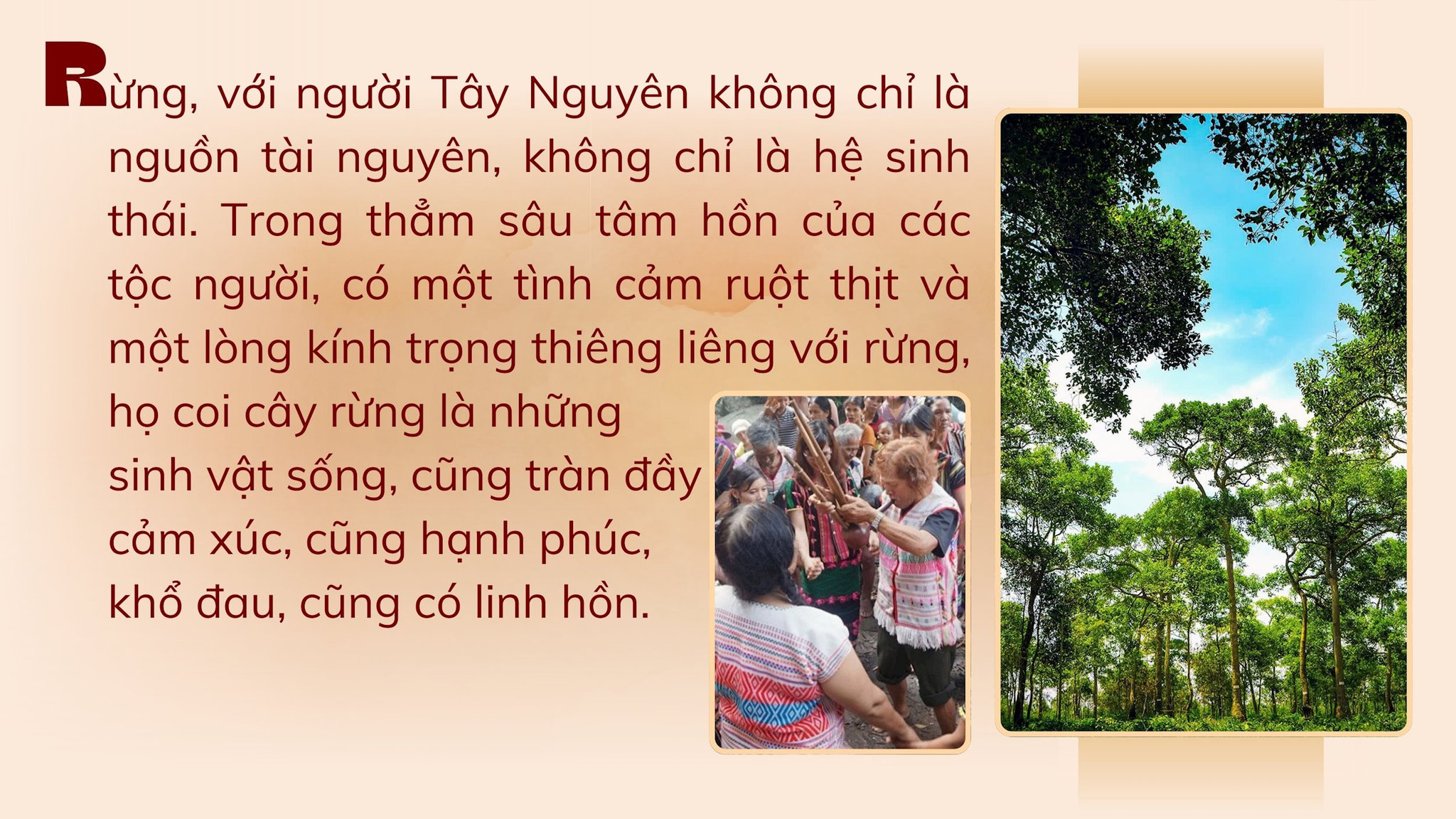 nhan 1