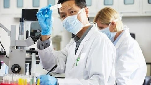 Hỗ trợ chỗ ở và phương tiện đi lại cho chuyên gia nước ngoài làm việc tại cơ quan nhà nước Việt Nam