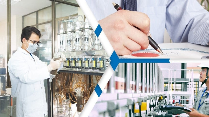 Tiền lương thưởng và phúc lợi đối với chuyên gia nước ngoài làm việc tại cơ quan nhà nước từ 19/9/2025