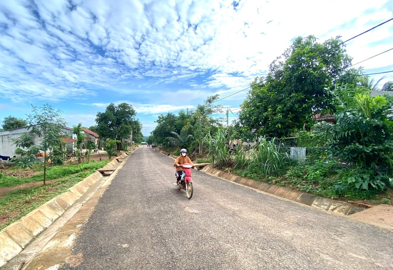 hinh-1.jpg