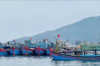 Quân đội đồng hành cùng ngư dân gỡ 