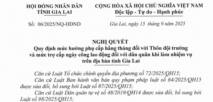 Nghị quyết 06/2025/NQ-HĐND mức phụ cấp mới đối với Thôn đội trưởng và trợ cấp dân quân tại Gia Lai