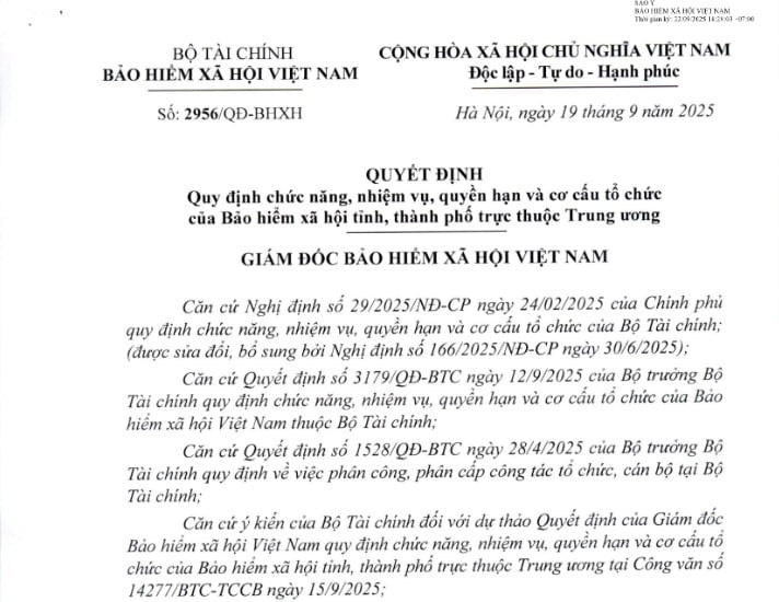 Đã có Quyết định 2965/QĐ-BHXH Quy định chức năng, nhiệm vụ, quyền hạn và cơ cấu tổ chức của Bảo hiểm xã hội tỉnh, thành phố trực thuộc Trung ương
