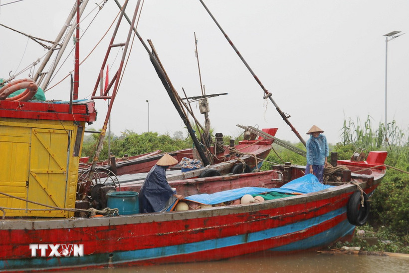 Ngư dân chằng chống, gia cố tàu thuyền để ứng phó với bão tại Trạm Quản lý đường sông cửa Đáy, xã Kim Đông, tỉnh Ninh Bình. (Ảnh: Thùy Dung/TTXVN)