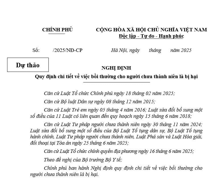 Cập nhật dự thảo Nghị định về bồi thường cho người chưa thành niên là bị hại