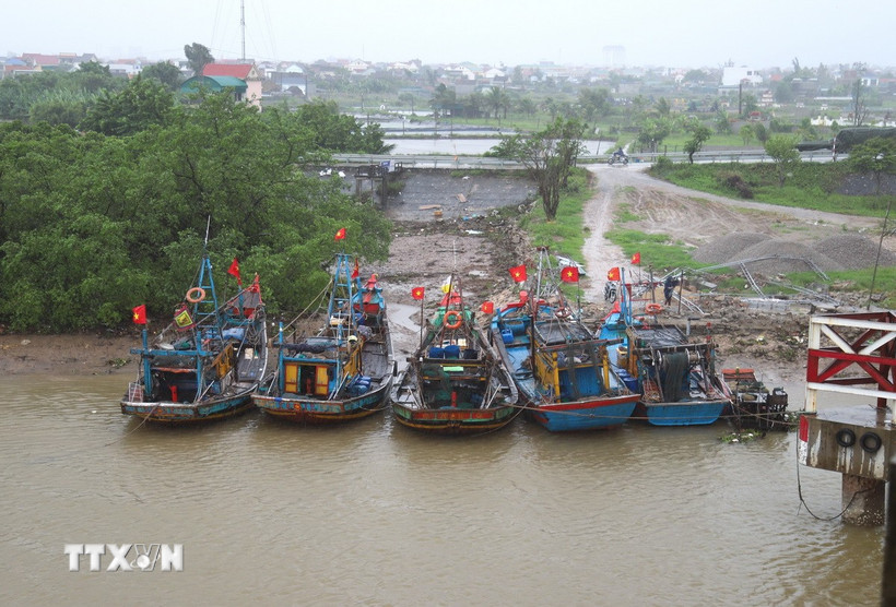 Tàu, thuyền neo đậu tránh bão. (Ảnh: Xuân Tiến/TTXVN)