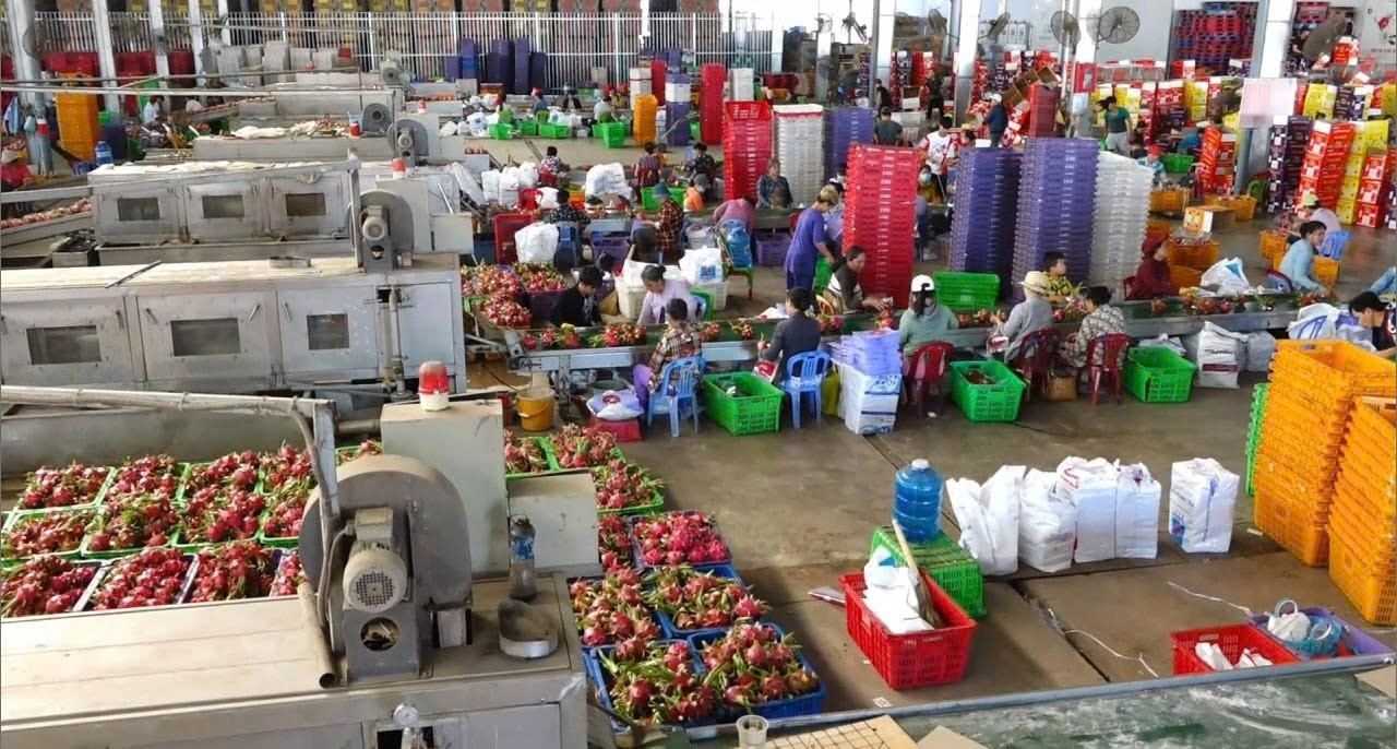 Địa phương hình thành vùng chuyên canh gắn với lợi thế địa phương