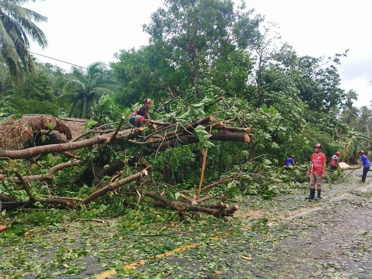 Cập nhật thiệt hại do bão số 10 mới nhất ngày 29/9/2025: Số người chết, mất tích