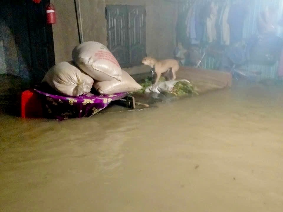 តែថ្មី។