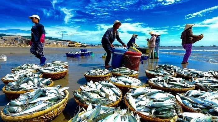 12 nhóm thủy sản không được nhập khẩu vào Hoa Kỳ từ 01/01/2026