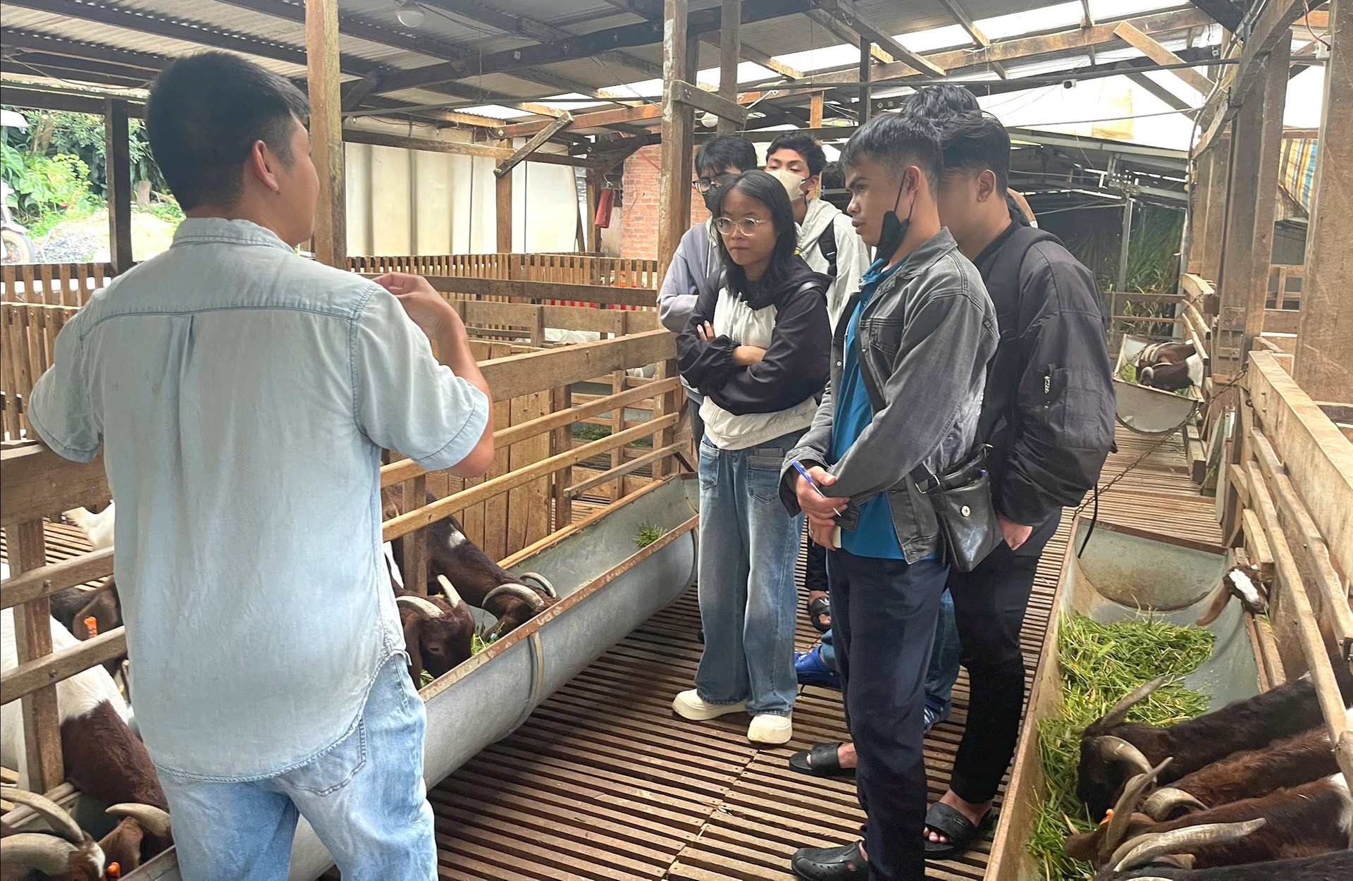 Trải nghiệm mô hình chăn nuôi tuần hoàn tại phường 3- Bảo Lộc, tỉnh Lâm Đồng