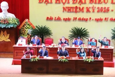 Đoàn chủ tịch đại hội biểu quyết thông qua nghị quyết đại hội.