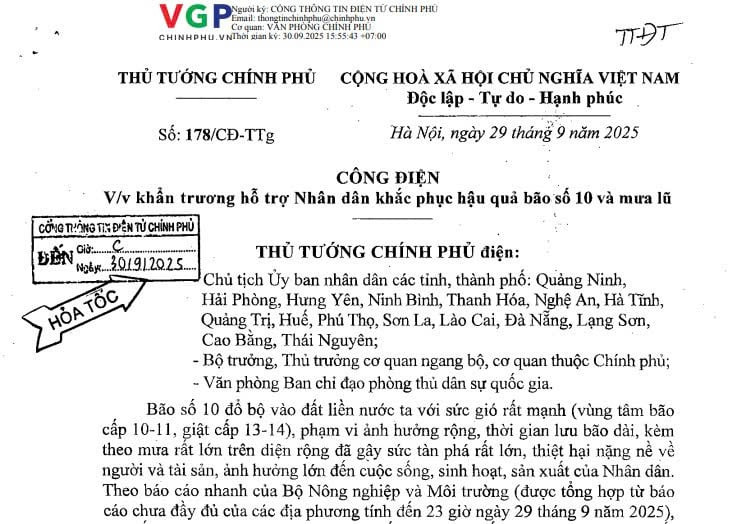 Công điện 178/CĐ-TTg: Khẩn trương hỗ trợ Nhân dân khắc phục hậu quả bão số 10 và mưa lũ 
