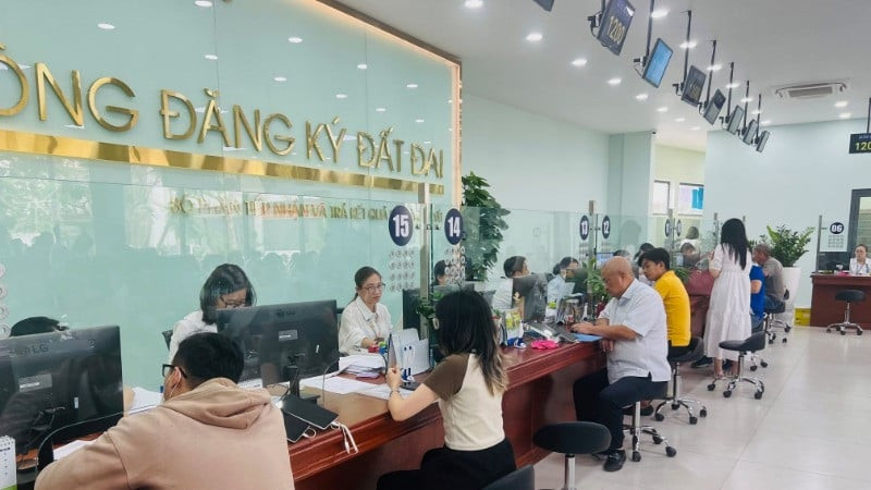 Số lượng người làm việc của Văn phòng đăng ký đất đai Thành phố Hồ Chí Minh 2025 (Hình ảnh từ Internet)
