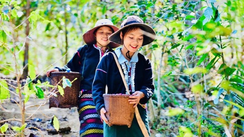 រូបភាព (4)