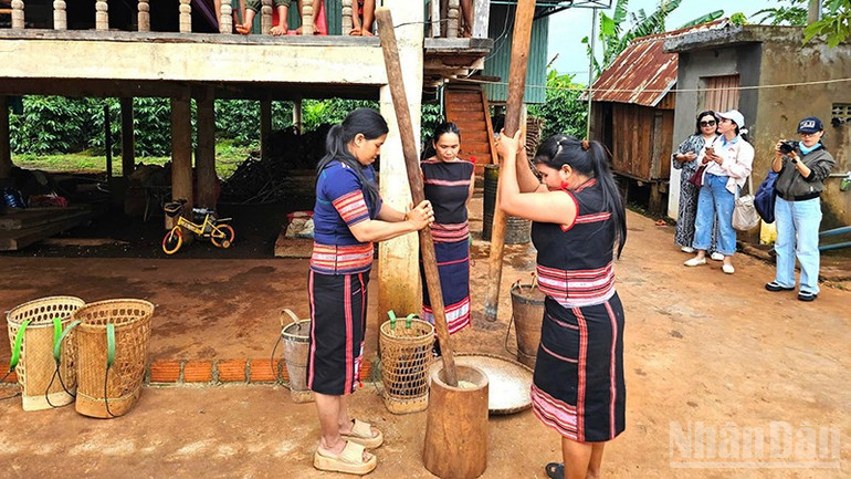 Hoạt động giã lúa rẫy của đồng bào Jrai. ndo_br_a4.jpg