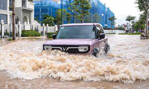Sở Xây dựng Hà Nội 'đặc biệt rút kinh nghiệm' sau bão Bualoi, chuẩn bị ứng phó bão số 11