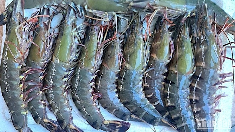 រូបភាព (2)