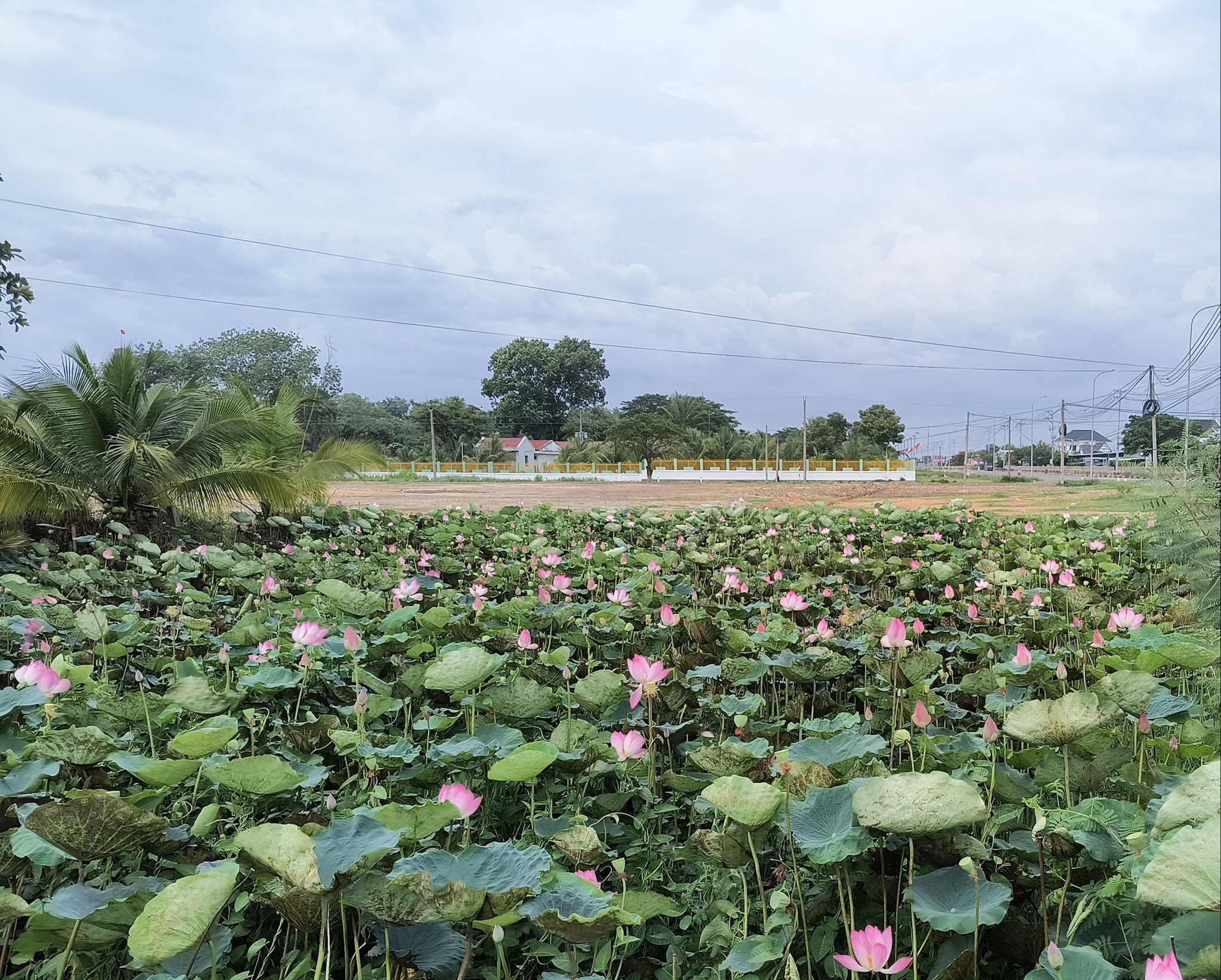 Một góc xã Hồng Sơn