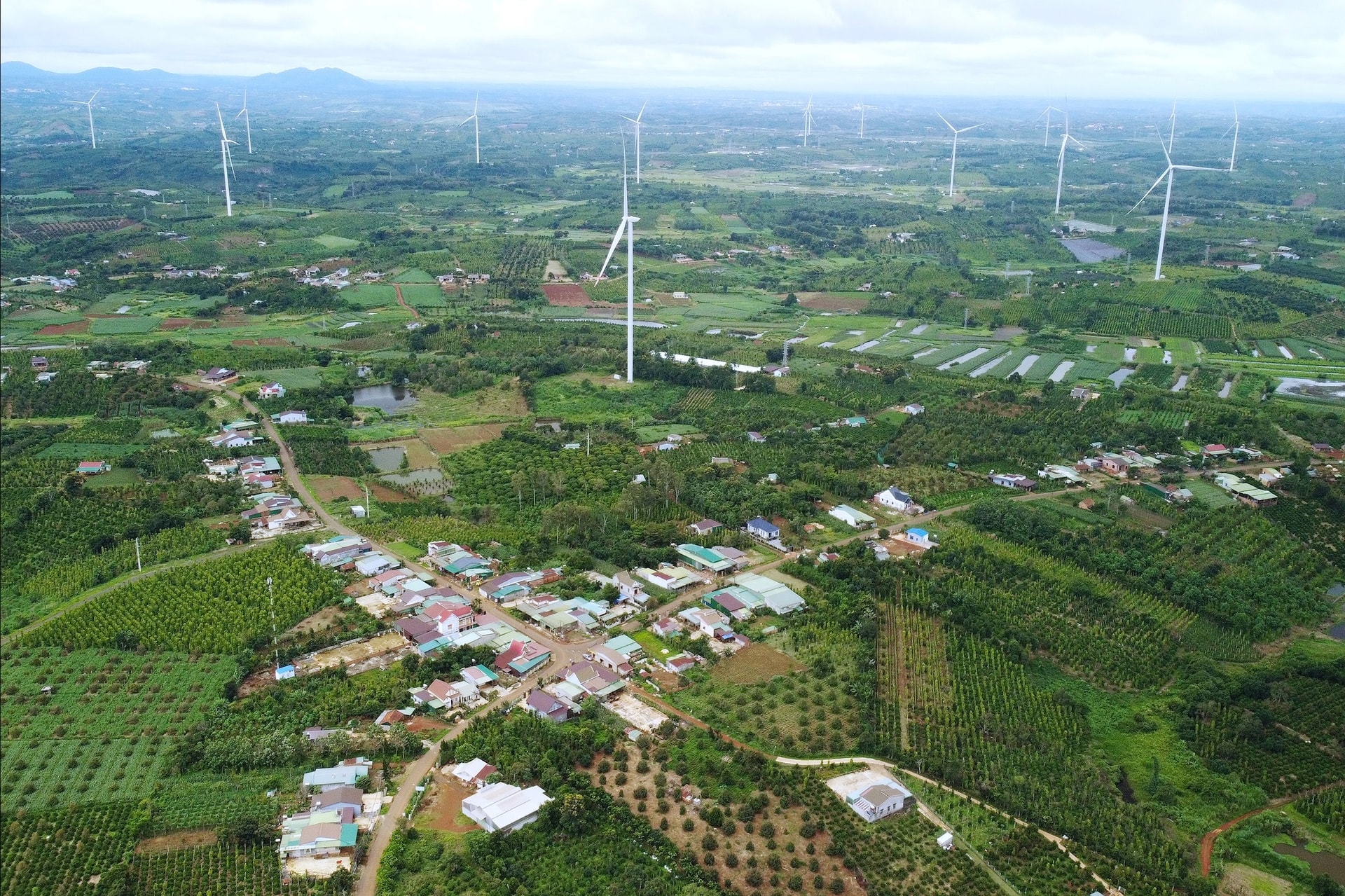 a-corner-of-the-central-border-border-of-Thuan-Hanh.jpg