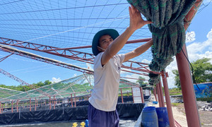 Quảng Ninh - Hải Phòng họp khẩn, chủ động ứng phó bão Matmo