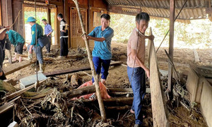 Trưởng thôn chạy xuyên đêm mưa lũ cứu 20 hộ dân thoát sạt lở
