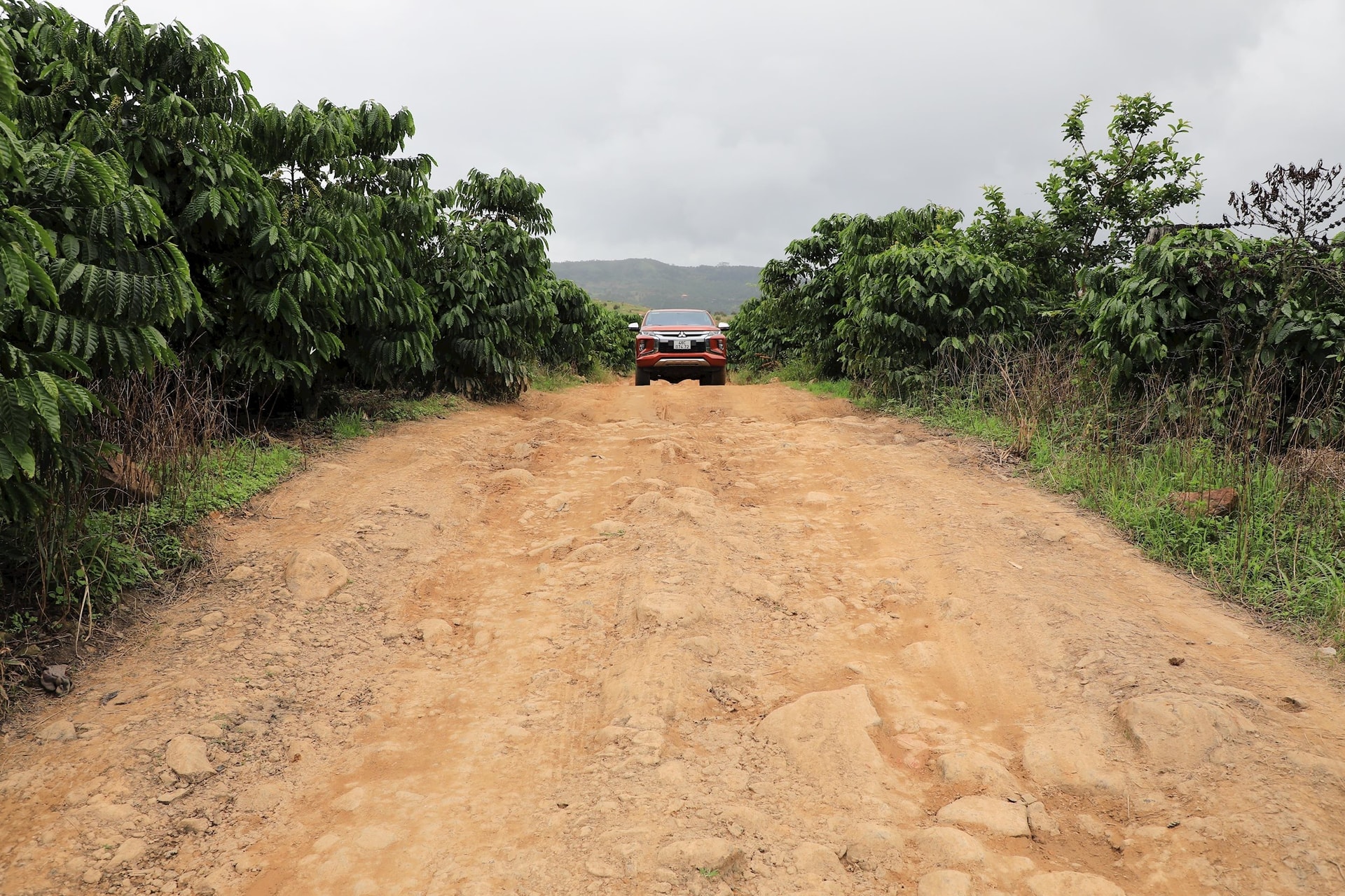 daknong.1cdn.vn-2025-09-21-_a-352a2840.jpg