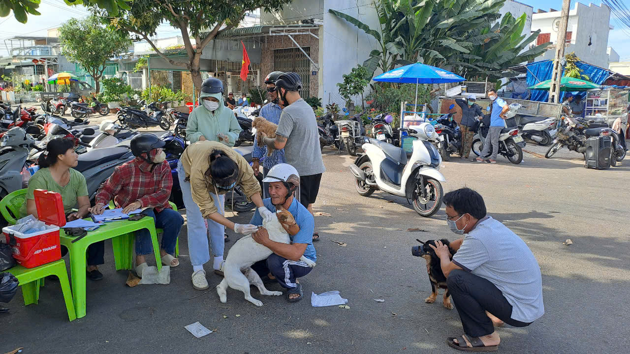 Tiêm vắc xin phòng dại trên động vật nuôi.
