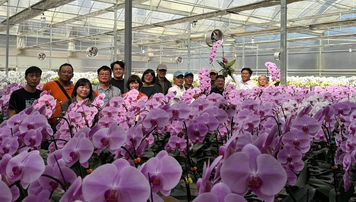 Sản xuất lan hồ điệp công nghệ cao khu vực Lâm Đồng ngàn hoa đạt thu nhập hơn 5 tỷ đồnghanăm