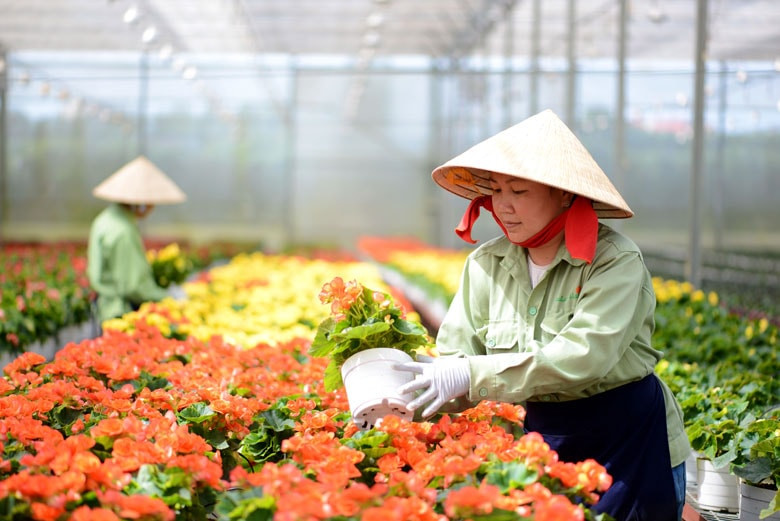 baolamdong.vn-file-e7837c02845ffd04018473e6df282e92-dataimages-202206-original-_images2460960_a6_12 (1)