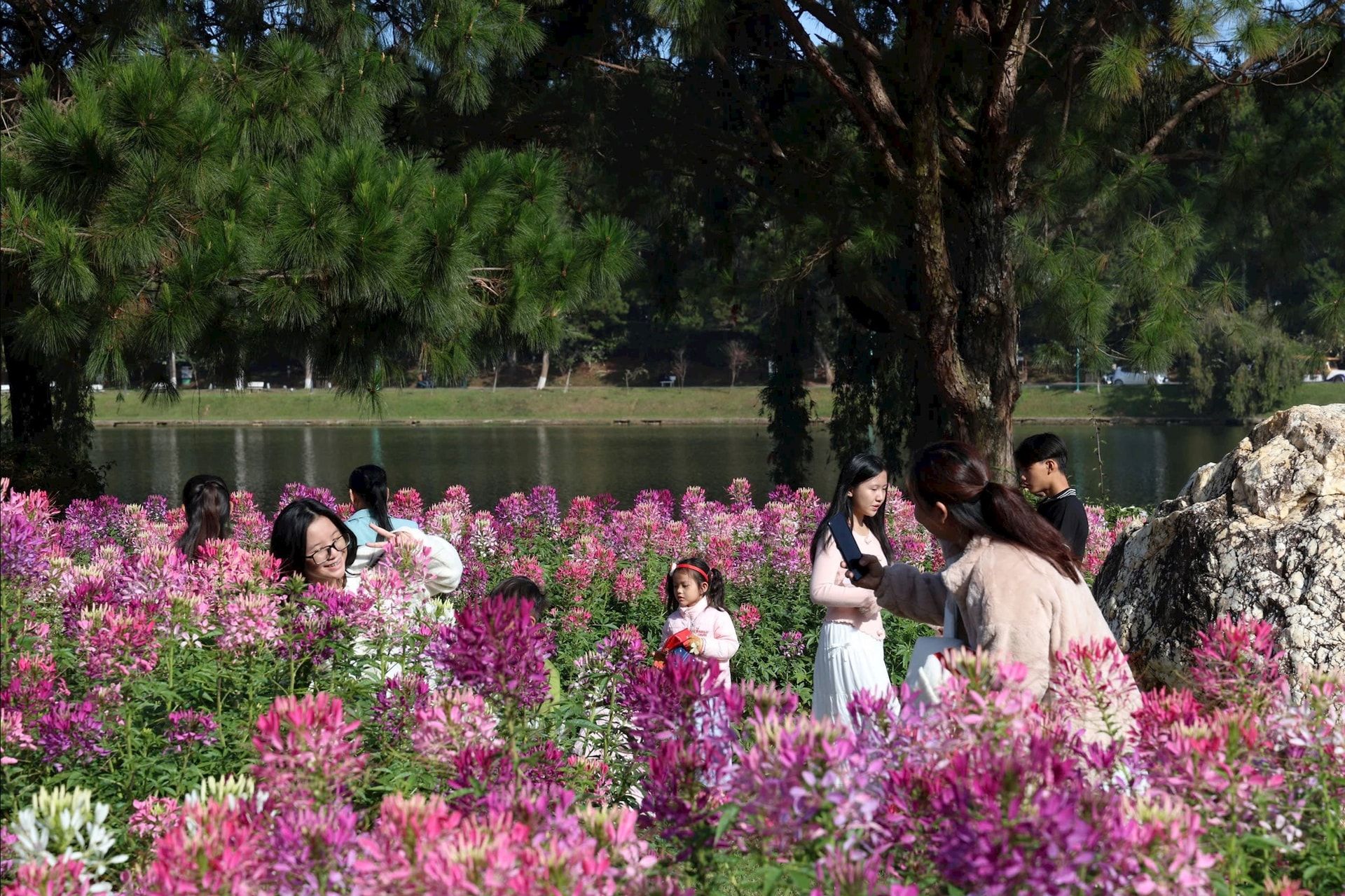City of Flowers