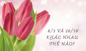 Ngày 8/3 và ngày 20/10 khác nhau thế nào?