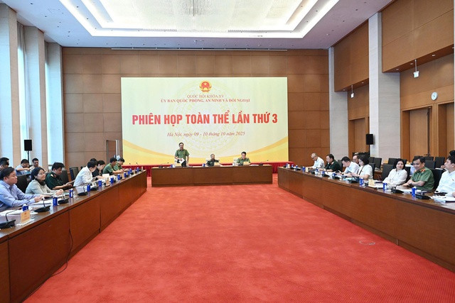 Thẩm tra dự án Luật sửa đổi, bổ sung một số điều của 10 luật có liên quan đến an ninh, trật tự- Ảnh 5.