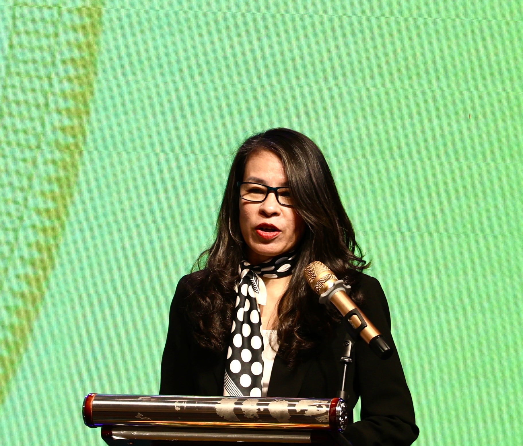 tranthuybinh.jpg