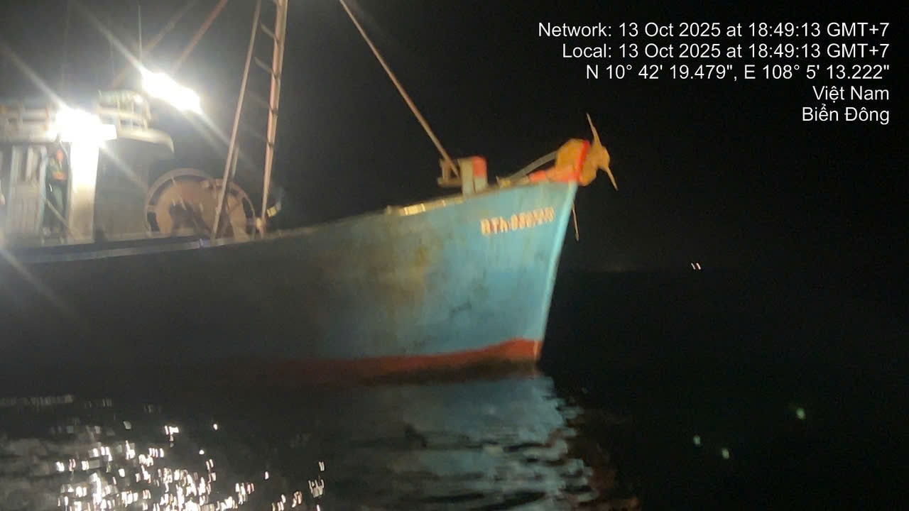 1e994349884905175c58.jpg
