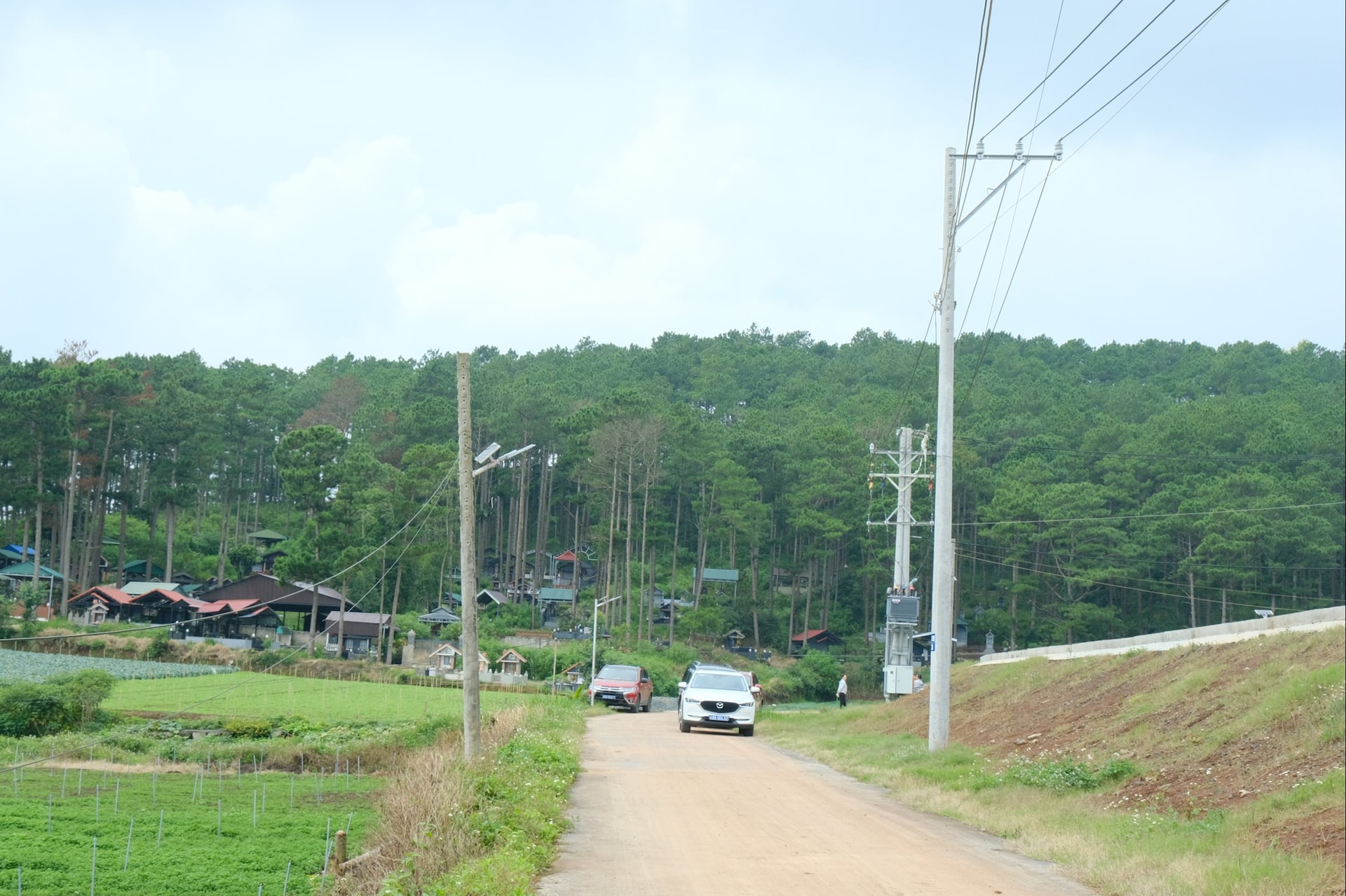 dscf3458.jpg