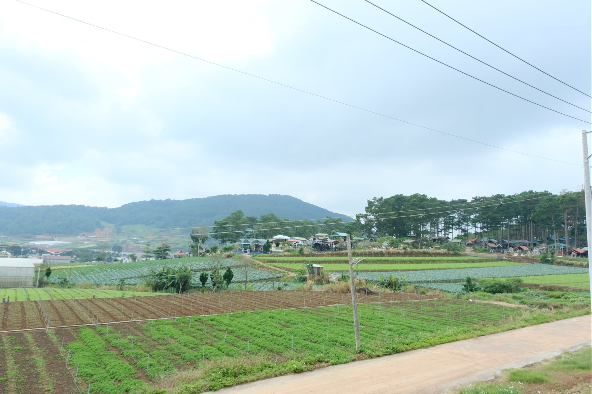 dscf3465.jpg