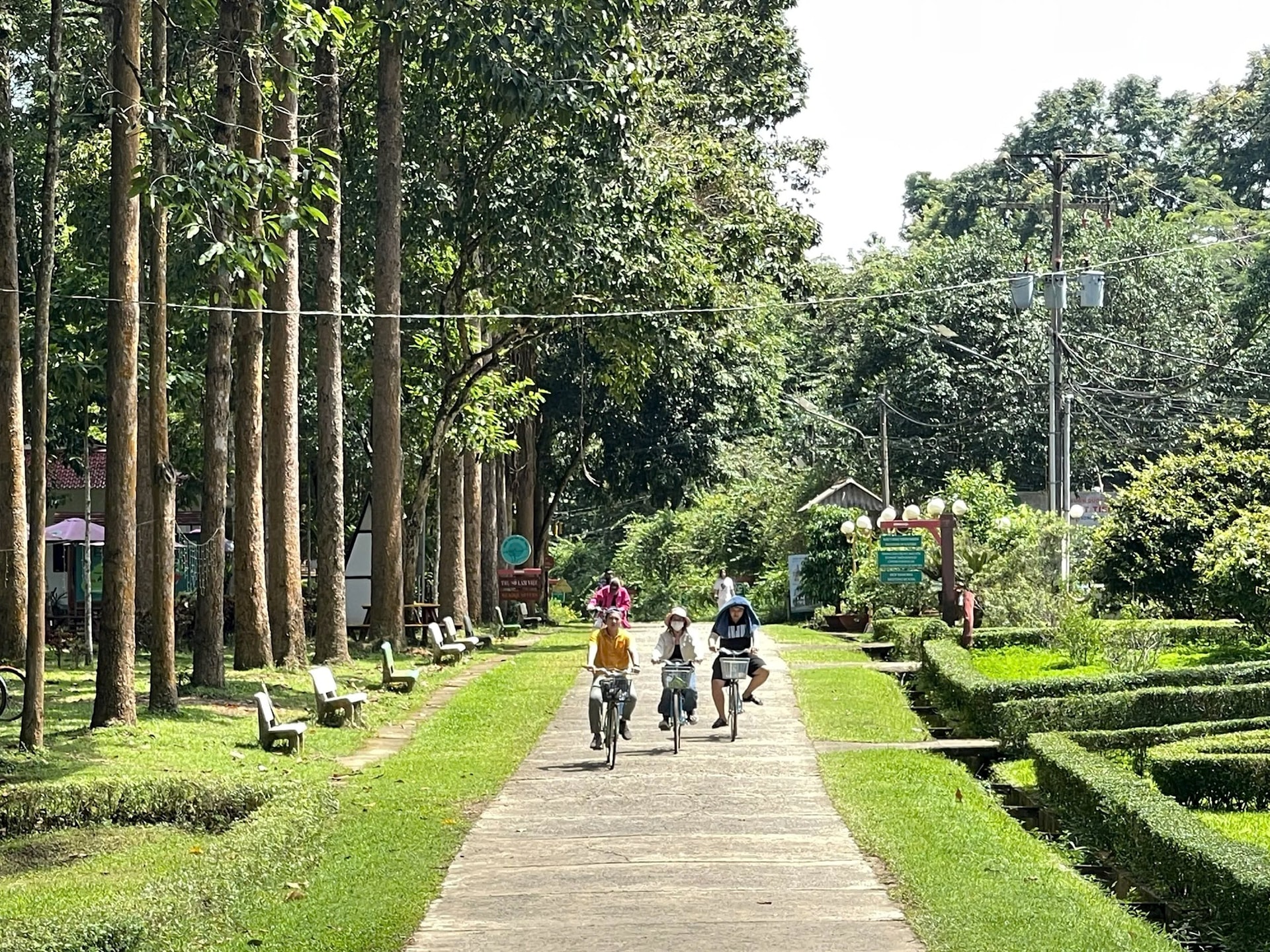 aa62273fb42739796036.jpg
