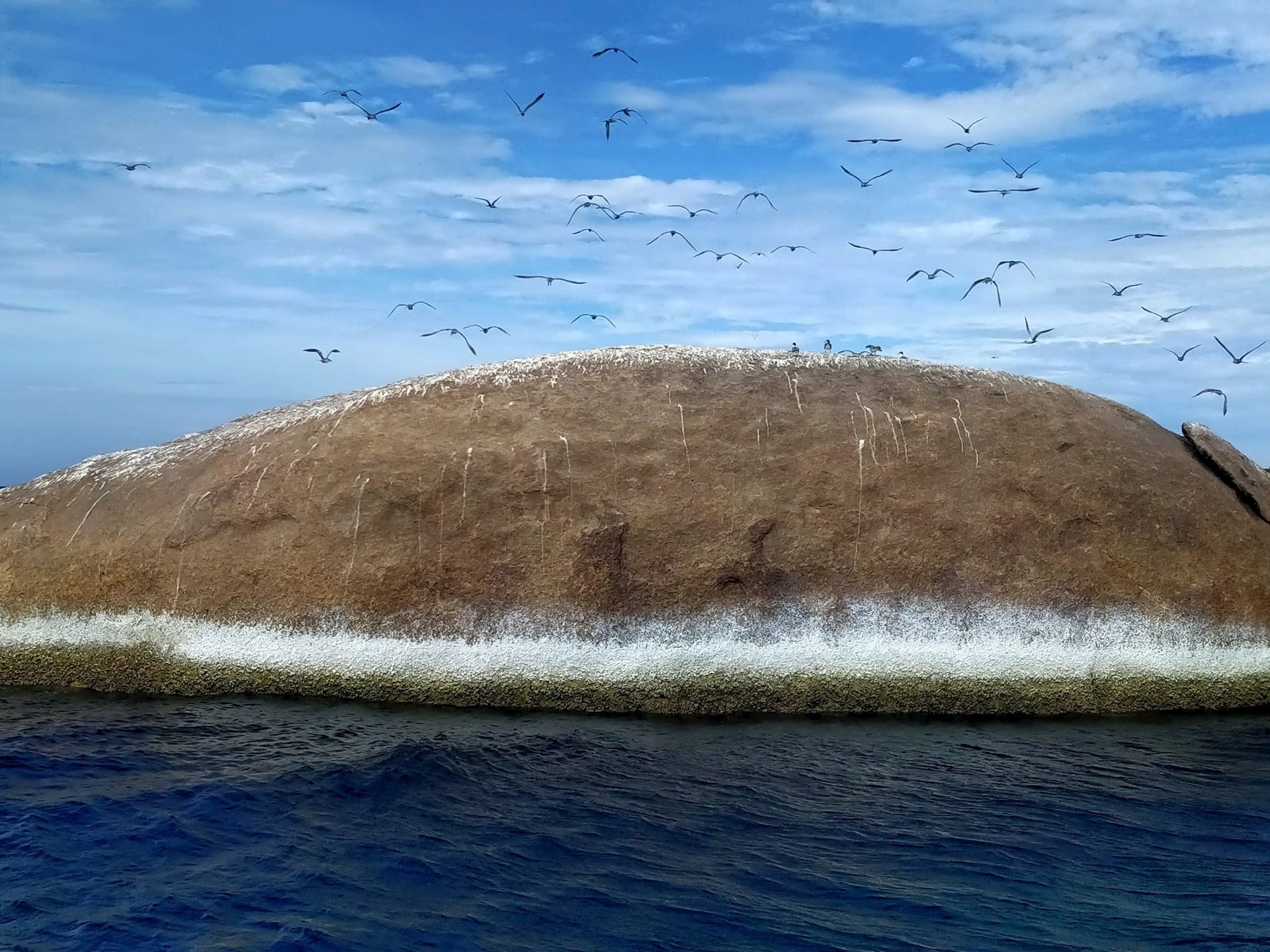 Khu vực đảo Hòn Cau.