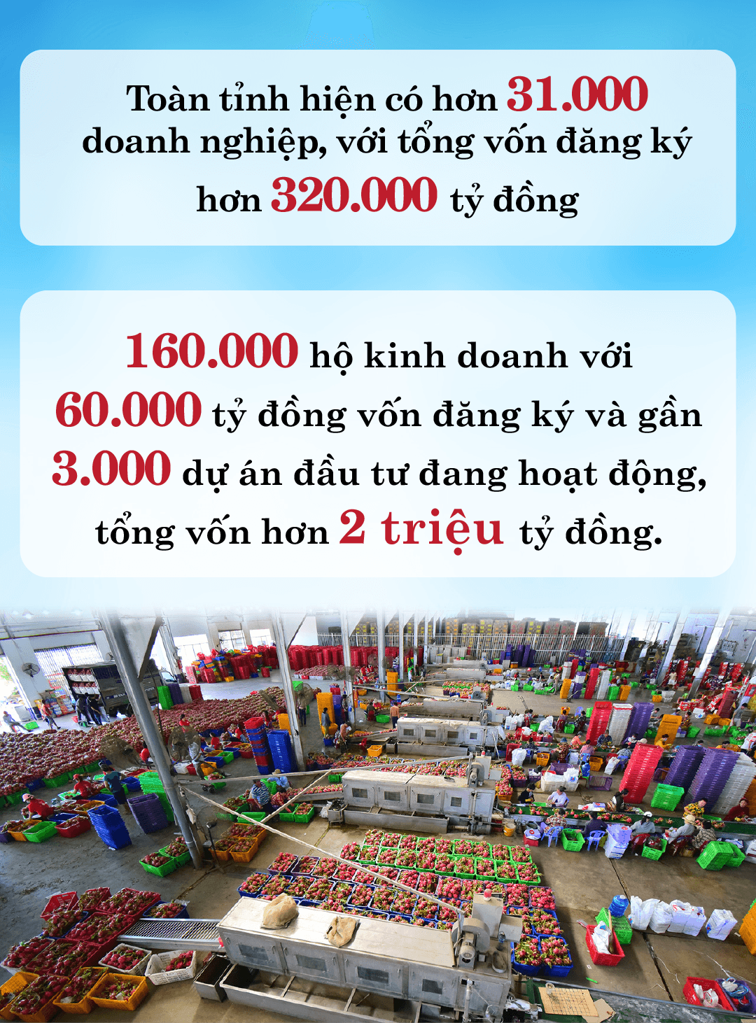 box ky 3 sua