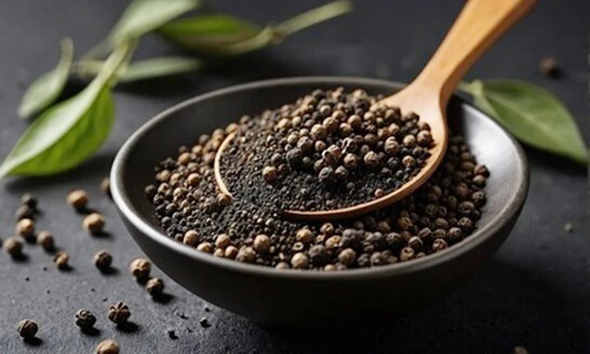 کالی مرچ کی قیمت آج 22 اکتوبر 2025: ملکی قیمت 146,000 VND/kg کی چوٹی کو برقرار رکھتی ہے