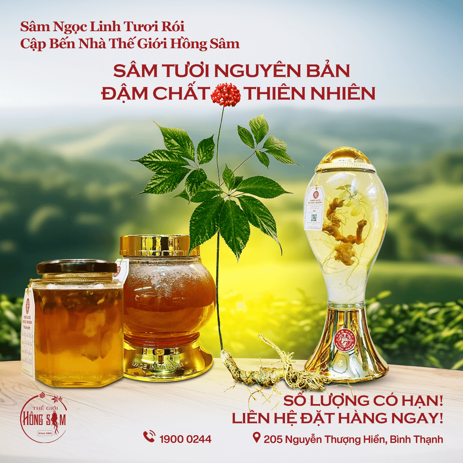 sam-ngoc-linh.png
