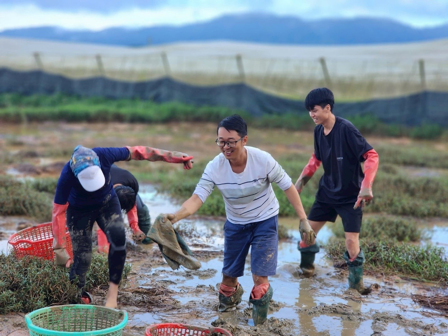 Residents of Đơn Dương guiding visitors in harvesting water chestnuts, a local specialty