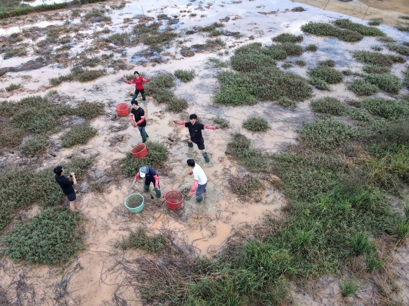 Tourists learning traditional farming practices, such as water chestnut harvesting, from local residents