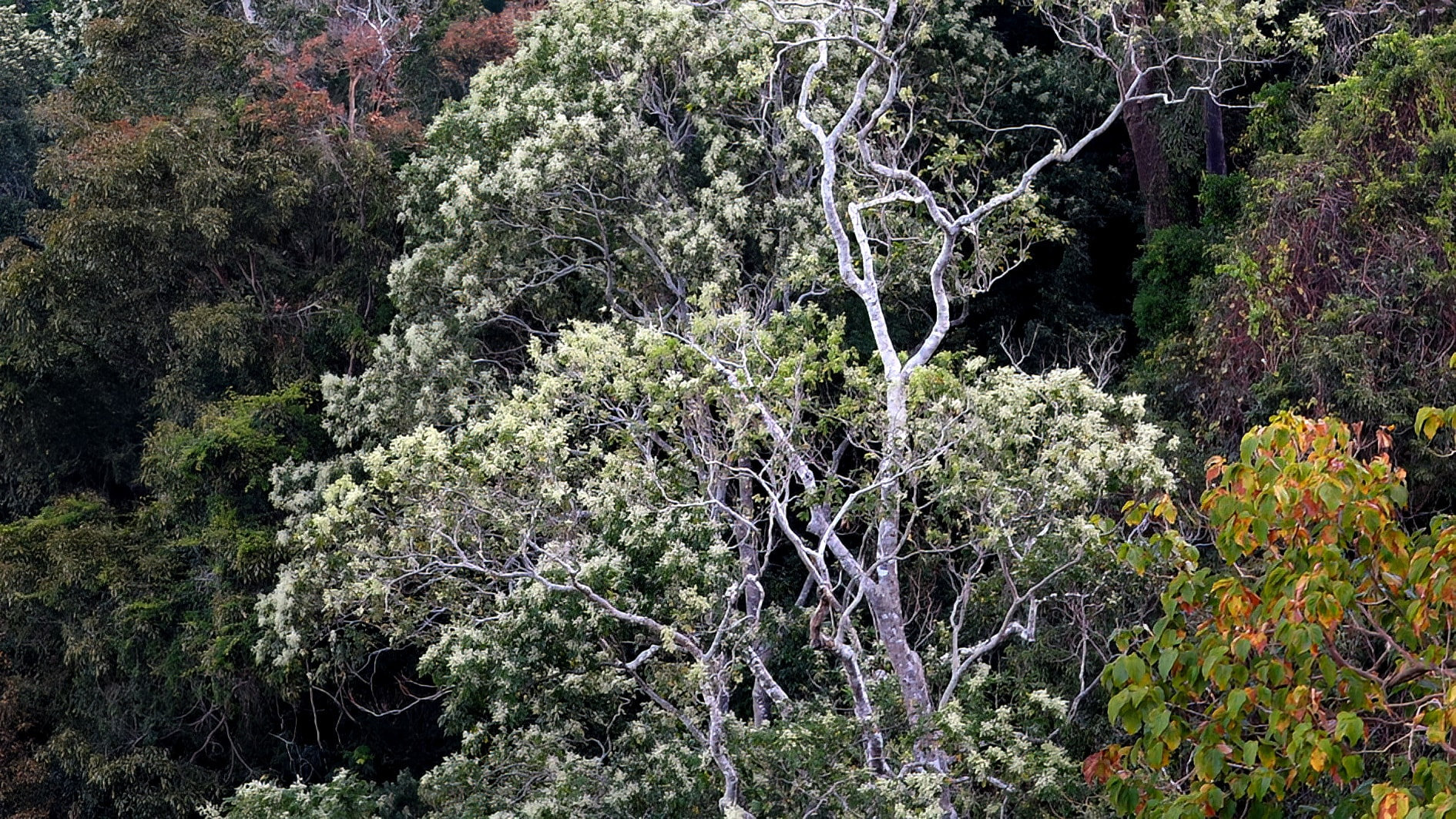 c0068t01.jpg