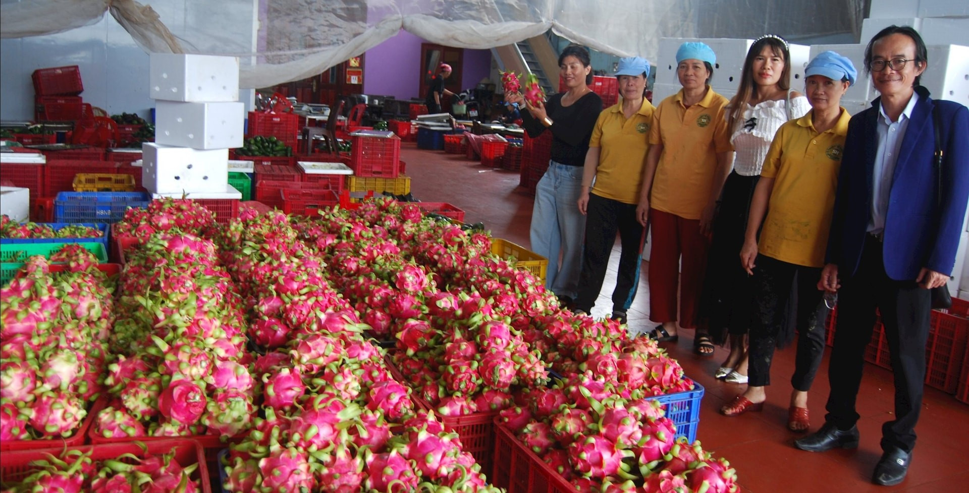 thanh long 2
