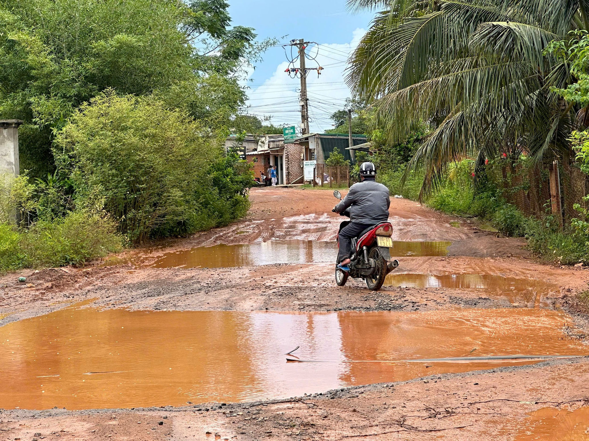 Số 15 Son my